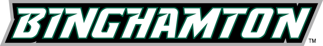 Binghamton Bearcats 2001-Pres Wordmark Logo v3 DIY iron on transfer (heat transfer)